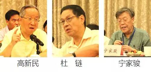 在中国智慧城市发展与评估指标体系建设专家研讨会上，中国互联网协会副理事长高新民、中国信息协会副会长杜链、国家信息中心电子政务专家委员会主任宁家骏发言